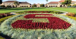 10 cursos gratuitos de Stanford para turbinar o currículo