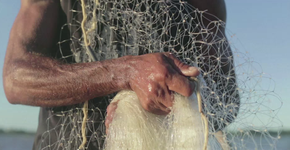 Projeto conecta pescador a consumidor e mostra procedência do peixe no smartphone