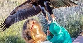 Foto: (Imagem sem texto alternativo disponivel ID [1107169])