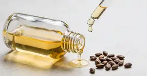 Foto: (Imagem sem texto alternativo disponivel ID [2706838])