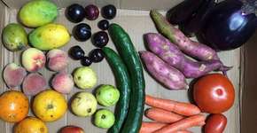 Delivery em SP entrega frutas e verduras ‘imperfeitas’ com desconto