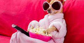 MEC usa receita do Netflix para ensinar