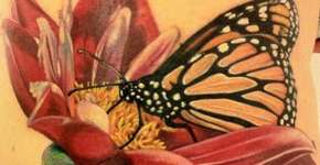 Foto: (Imagem sem texto alternativo disponivel ID [727540])