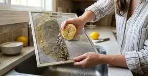 Nas casas mais cheirosas de Portugal a cozinha não tem cheiro de gordura porque usam limão com sal para limpar a coifa