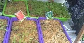 Foto: (Imagem sem texto alternativo disponivel ID [1861332])