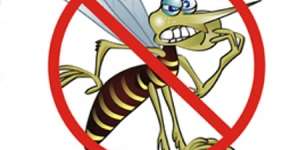 Blog sobre dengue reúne informações sobre a doença e mais