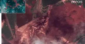 Foto: (Imagem sem texto alternativo disponivel ID [1740893])