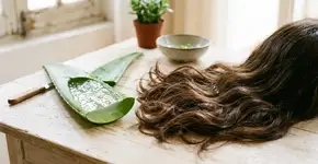 Como usar babosa para fazer seus cabelos crescerem de forma natural e rápida