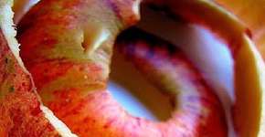 Senac promove “Semana da Cidadania” com fotografia para deficientes visuais, aproveitamento de alimentos e adoção de animais