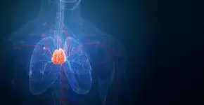 Foto: (nopparit/istock)