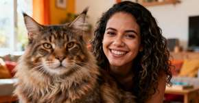 O único gato gigante que virou febre entre mulheres