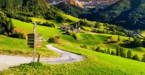 Foto: (Janoka82/iStock)