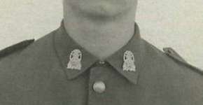 Foto: (Imagem sem texto alternativo disponivel ID [1707872])