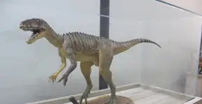 Foto: (Imagem sem texto alternativo disponivel ID [761914])