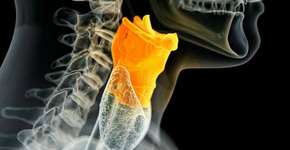 Foto: (Imagem sem texto alternativo disponivel ID [1835082])