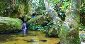 Foto: (Imagem sem texto alternativo disponivel ID [1394259])