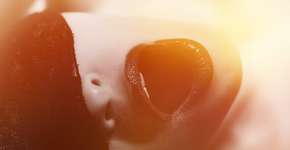 Tipo de cogumelo pode provocar orgasmos espontâneos em mulheres