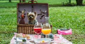 Parque Ibirapuera tem um cachorródromo sem grades