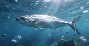 Foto: (Imagem sem texto alternativo disponivel ID [2729873])