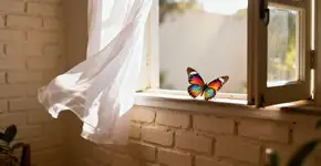 Foto: (Imagem sem texto alternativo disponivel ID [2677558])