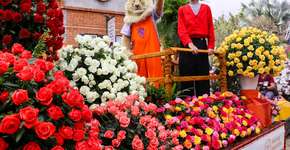 Foto: (Juliana Lazarini/Divulgação)