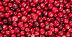 Foto: (iSTock/Daniil Dubov)