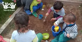 8 dicas para criar espaços de brincadeira mais naturais na escola