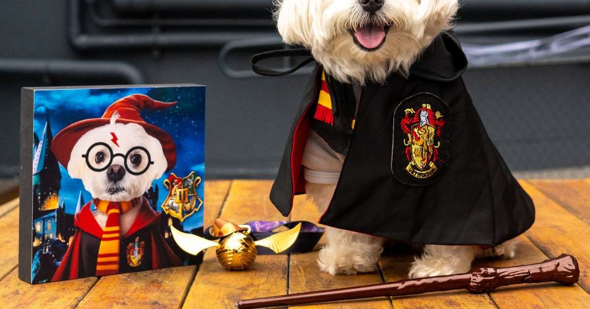 Petlloween do Shopping Eldorado traz atrações assustadoramente divertidas para famílias