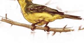 Maria Preá se apresenta no Sesc Vila Mariana