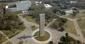 USP abre 5 mil vagas em curso gratuito sobre IA generativa