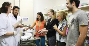 Foto: (Divulgação)