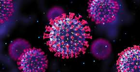 SP espera pico de internações por covid em 3 semanas