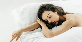 Foto: (Imagem sem texto alternativo disponivel ID [2448599])