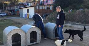 Voluntários espalham casinhas para esquentar animais