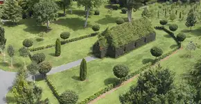 Neozelandês constrói igreja de árvores vivas