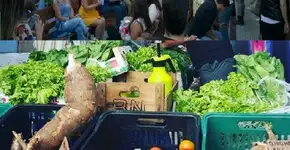 Arraial dos Fabricantes promove feira cultural