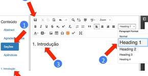 Foto: (reprodução)