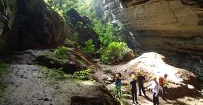 Foto: (Imagem sem texto alternativo disponivel ID [1868533])