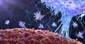 Crianças com câncer podem ter adquirido tumor no útero, sugere estudo