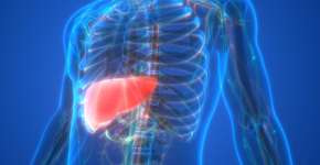 Este chá pode eliminar gordura do fígado, comprova estudo