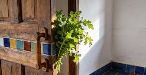 Foto: (Imagem sem texto alternativo disponivel ID [2676672])