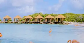 Motivos para viajar para Aruba