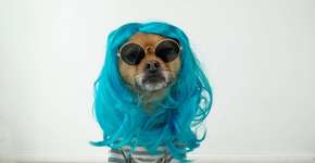 Foto: (Foto: Divulgação.)