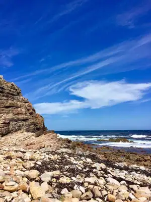 Cape Point - Cape Town