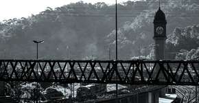 Foto: (Imagem sem texto alternativo disponivel ID [491274])