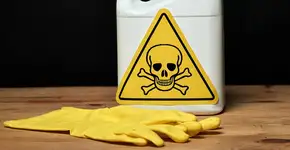 Foto: (iStock/PeopleImages)