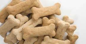 Foto: (Imagem sem texto alternativo disponivel ID [364010])