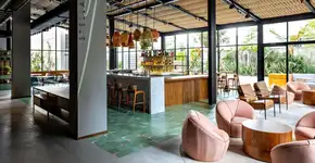 Foto: (Divulgação)