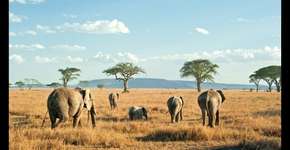 Os melhores destinos para cada signo