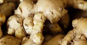 Gengibre ajuda a acelerar a perda de peso